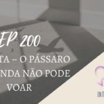 Introvertendo 200 - Gaivota – o pássaro que ainda não pode voar