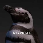 Introvertendo 274 - Atypical